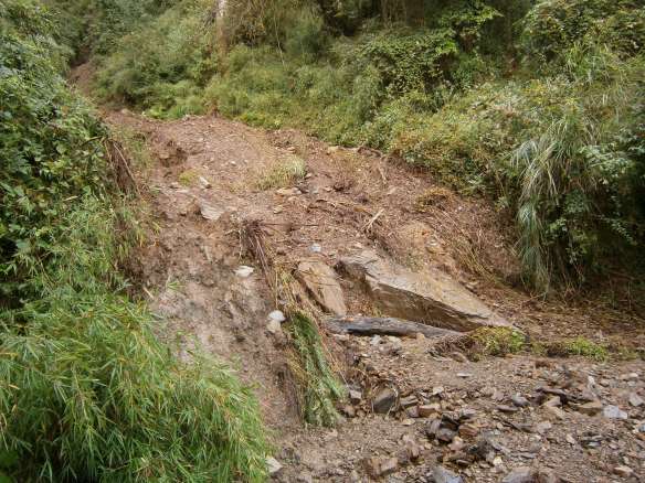 As I continued, I was met with more walls of foliage and soil, brought down by heavy rain.