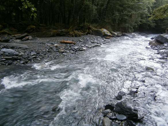The river was deeper than anticipated.