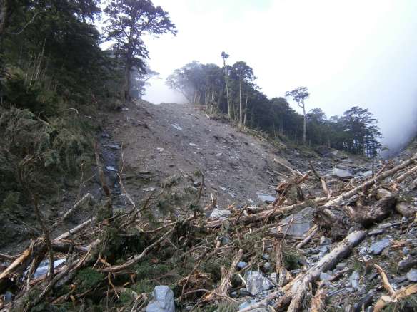 A closer look at one of the landslides near the base of the mountain.