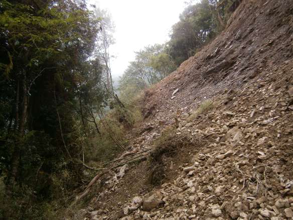 Some of the landslides looked like they had been crossed before, but none of them were marked, and no trails were broken.