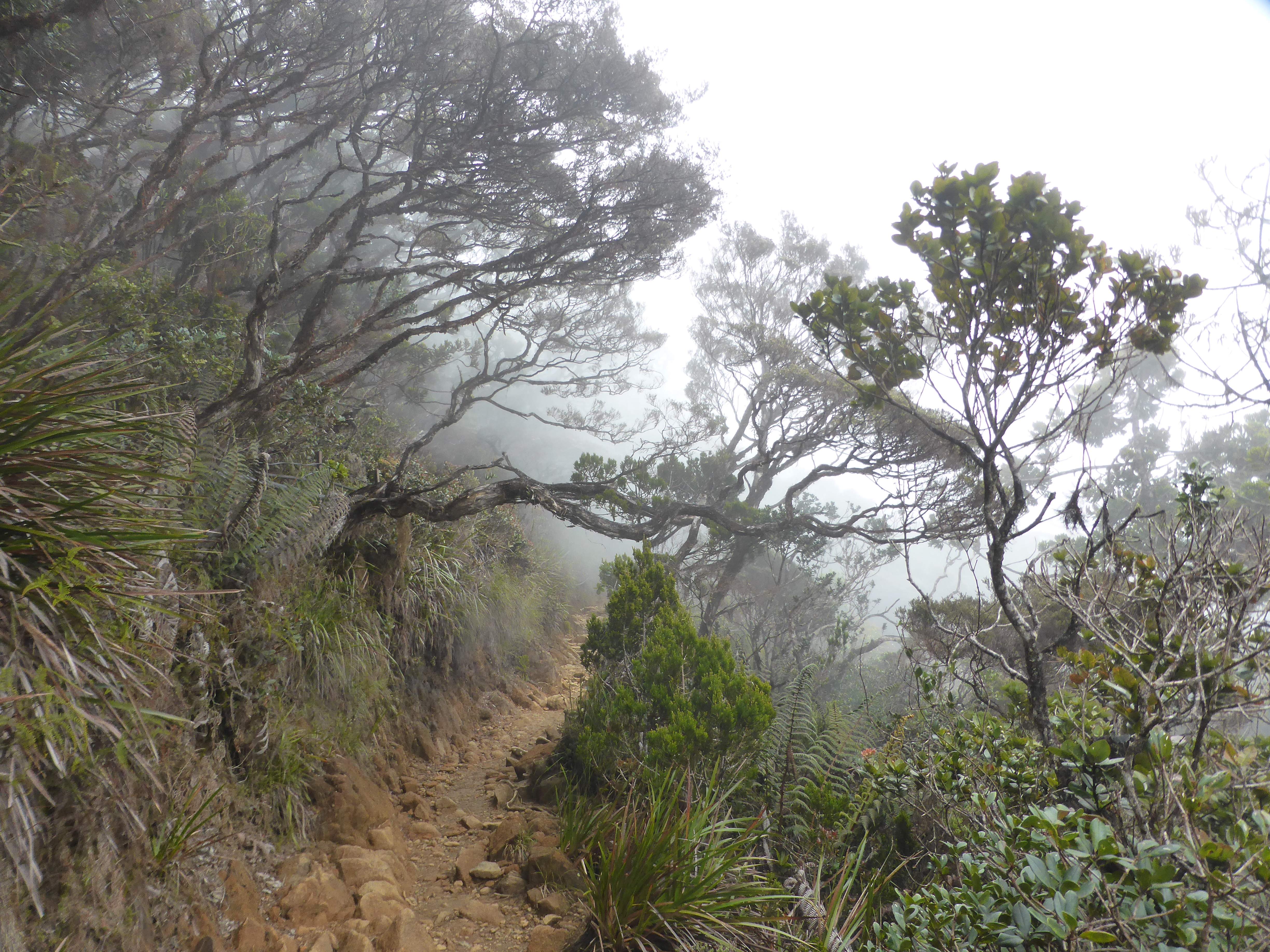 Kinabalu09